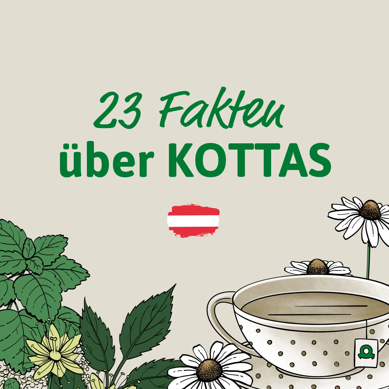 23 Fakten über KOTTAS